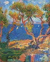 Olive Trees by The Sea By Henri Jean Guillaume Martin
