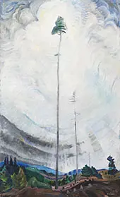 Scorned as Timber Beloved of The Sky 1935 By Emily Carr