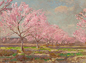 A Peach Orchard in Bloom 1921 By Julian Onderdonk