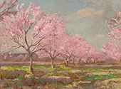 A Peach Orchard in Bloom 1921 By Julian Onderdonk