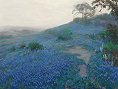Blue Bonnet Field Early Morning San Antonio Texas 1914 By Julian Onderdonk