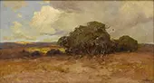 Texas Dry Country By Julian Onderdonk