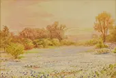 Untitled Bluebonnet Landscape By Julian Onderdonk