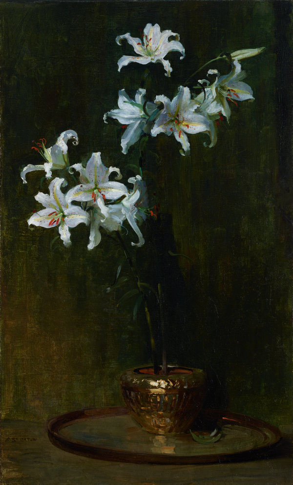 Lilium Auratum by Arthur Streeton | Oil Painting Reproduction