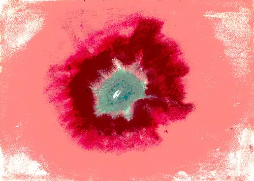 On Viewing the Flowers and the Trees By Hilma AF Klint