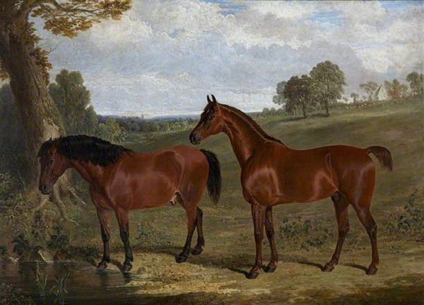 A Bay Horse and a Pony in a Landscape | Oil Painting Reproduction