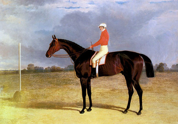 A Dark Bay Racehorse with Patrick Connolly Up | Oil Painting Reproduction