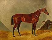 Bay Middleton By John Frederick Snr Herring