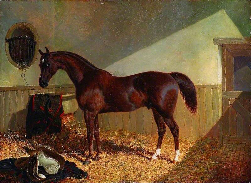 Brown Horse in a Stable | Oil Painting Reproduction