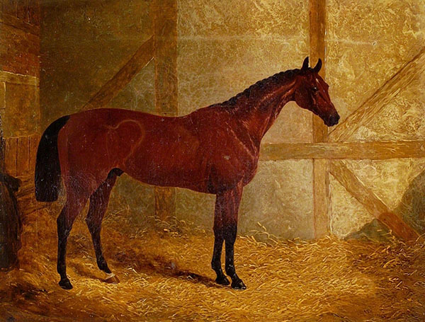 Cotherstone Winner of Derby | Oil Painting Reproduction