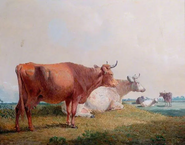 Cows By John Frederick Snr Herring