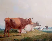 Cows By John Frederick Snr Herring