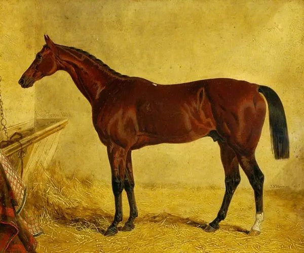 Don By John Frederick Snr Herring