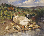 Ducks by a Stream By John Frederick Snr Herring
