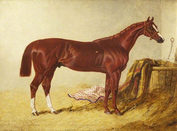 Elis Winner of The St Leger Stakes 1836 in a Loose Box | Oil Painting Reproduction