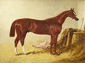 Elis Winner of The St Leger Stakes 1836 in a Loose Box By John Frederick Snr Herring