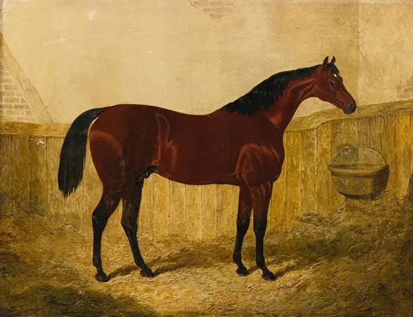 Emilius By John Frederick Snr Herring