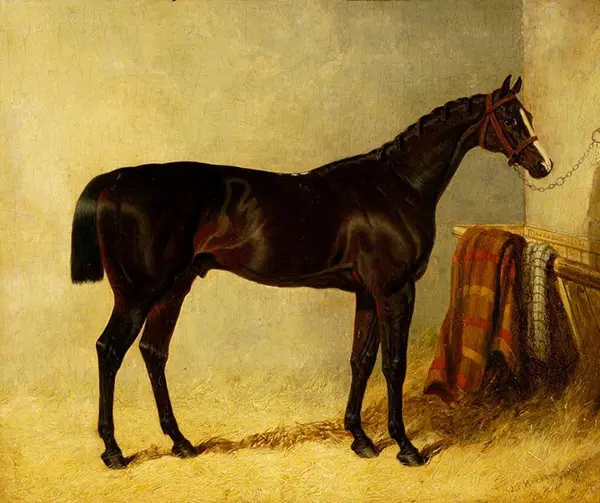 Filho da Puta 2 By John Frederick Snr Herring