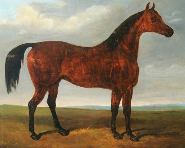 Horse by John Frederick Snr Herring | Oil Painting Reproduction