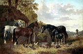 Horses Pigs and Poultry By John Frederick Snr Herring