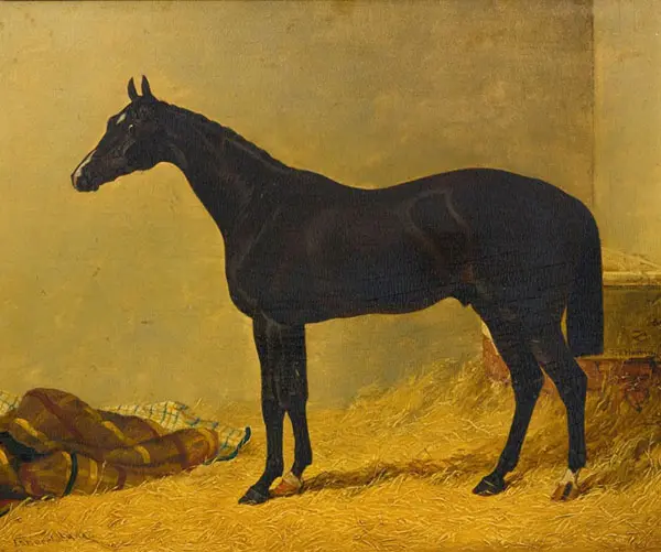 Launcelot By John Frederick Snr Herring