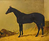 Launcelot By John Frederick Snr Herring