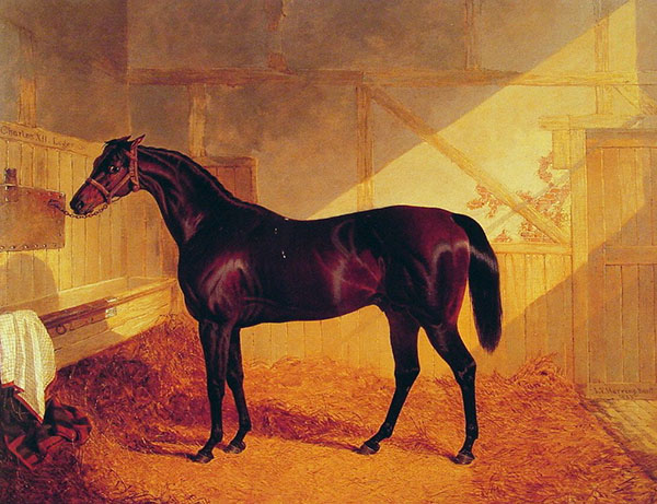 Mr Johnstones Charles XII in a Stable | Oil Painting Reproduction