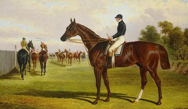 Mundig By John Frederick Snr Herring