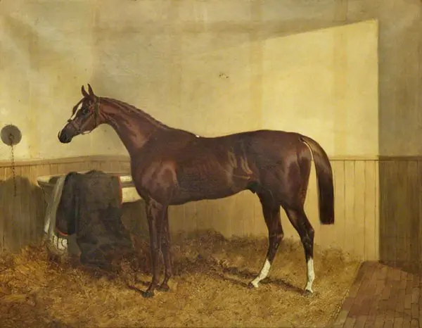 Pyrrhus The First By John Frederick Snr Herring