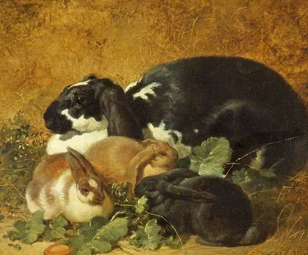 Rabbits By John Frederick Snr Herring