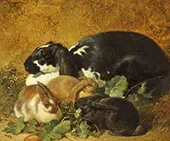 Rabbits By John Frederick Snr Herring