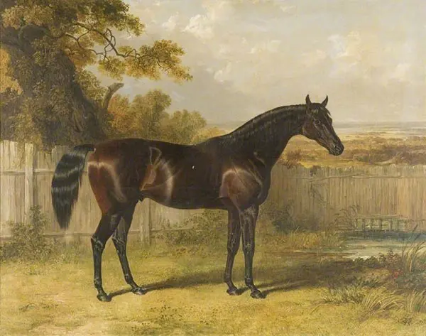 Rockingham By John Frederick Snr Herring