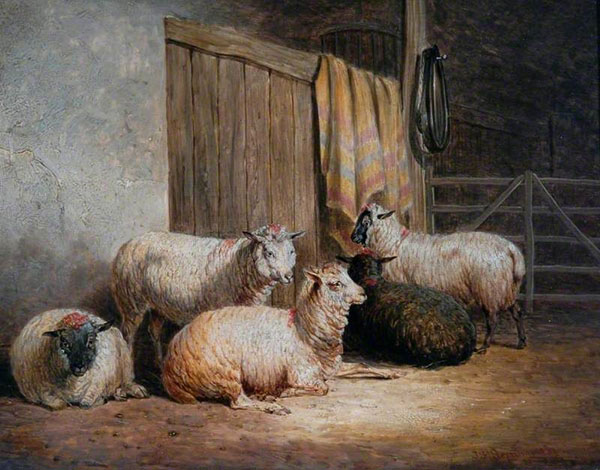 Sheep by John Frederick Snr Herring | Oil Painting Reproduction
