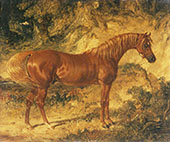 The Racehorse Actaeon By John Frederick Snr Herring