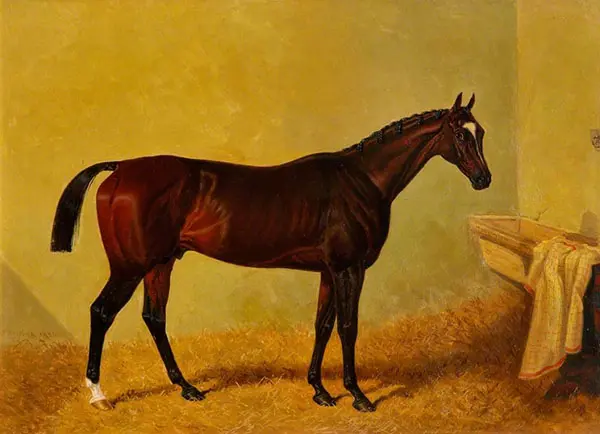 Touchstone By John Frederick Snr Herring