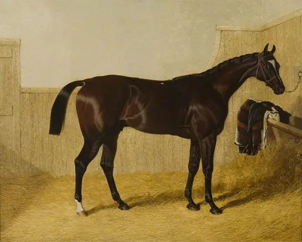 Touchstone II By John Frederick Snr Herring