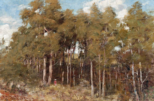 A Mountain Clearing Macedon 1904 | Oil Painting Reproduction