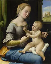 Madonna of The Pinks By Raphael