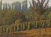 Le Poeme des saisons Fructidor By Gustave Cariot