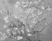 Branches with Almond Blossom Grey By Vincent van Gogh