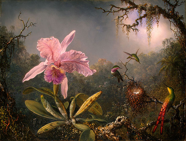 Cattleya Orchid and Three Brazilian Hummingbirds 1871 | Oil Painting Reproduction