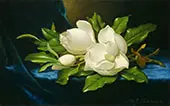 Giant Magnolias on a Blue Velvet Cloth1890 By Martin Johnson Heade