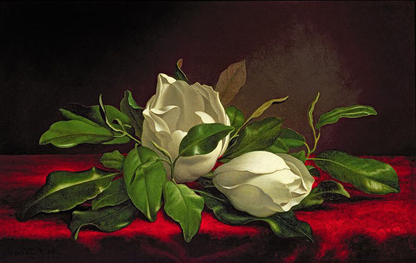 Magnolia by Martin Johnson Heade | Oil Painting Reproduction