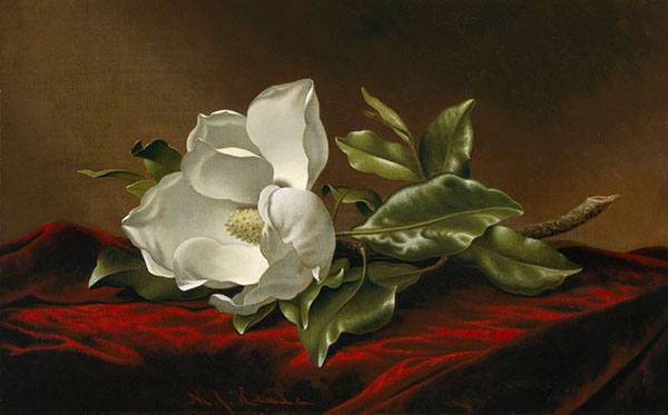 Magnolia Grandiflora 1885 | Oil Painting Reproduction