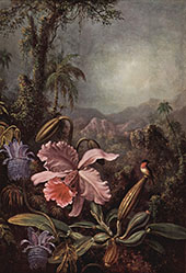 Orchid and Hummingbird 1880 By Martin Johnson Heade