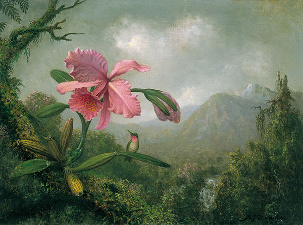 Orchid and Hummingbird near a Mountain Waterfall 1902 | Oil Painting Reproduction