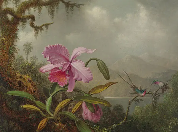Orchids and Hummingbirds 1875 By Martin Johnson Heade