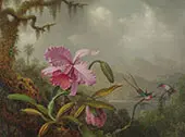 Orchids and Hummingbirds 1875 By Martin Johnson Heade