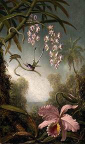 Orchids and Spray Orchids with Hummingbird 1875 By Martin Johnson Heade