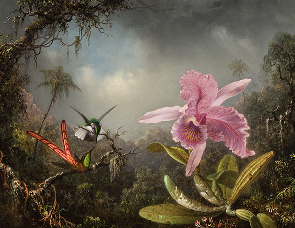 Orchid with Two Hummingbirds 1871 | Oil Painting Reproduction